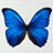 Avatar di giuliafrittella