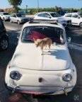 Avatar di Mycar69